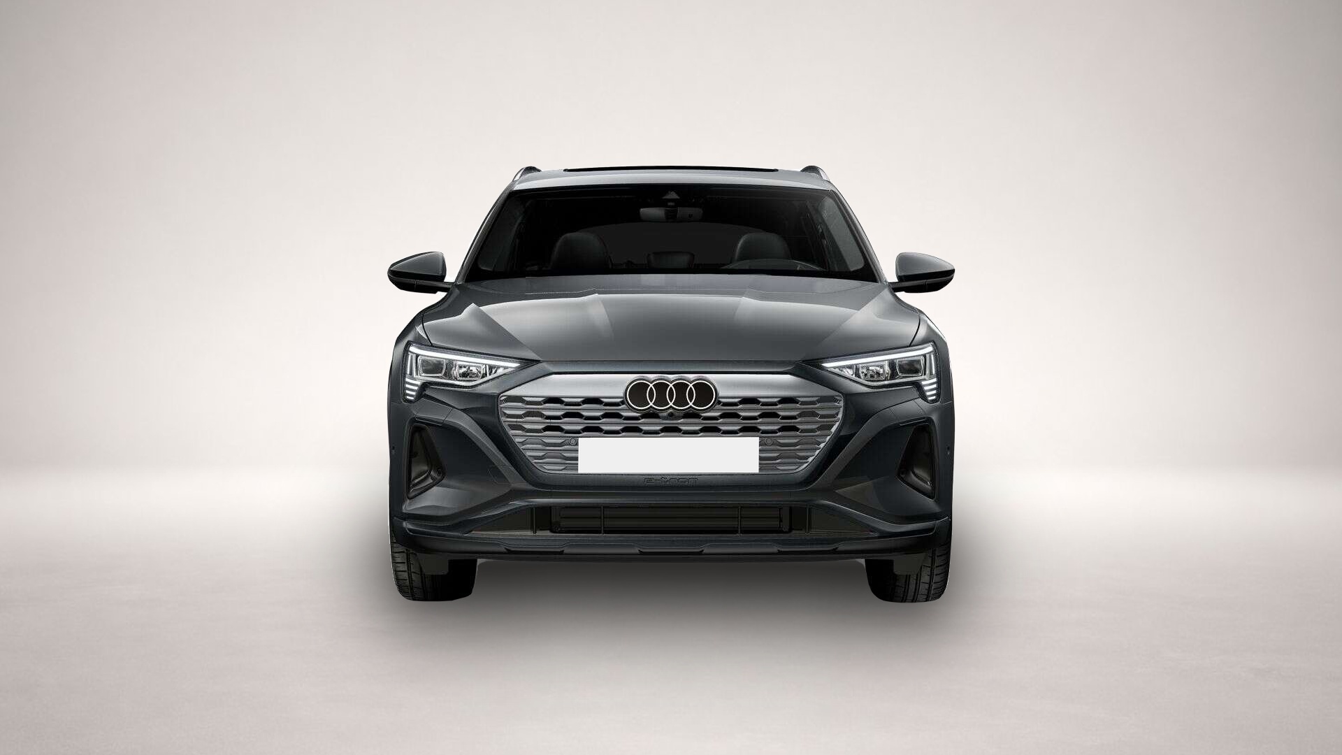 Audi Q8 e-tron (06/2023, ELECTRIC)