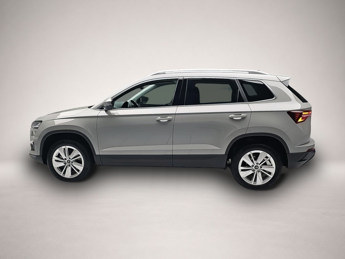 Skoda Karoq, Bild 4 von 4