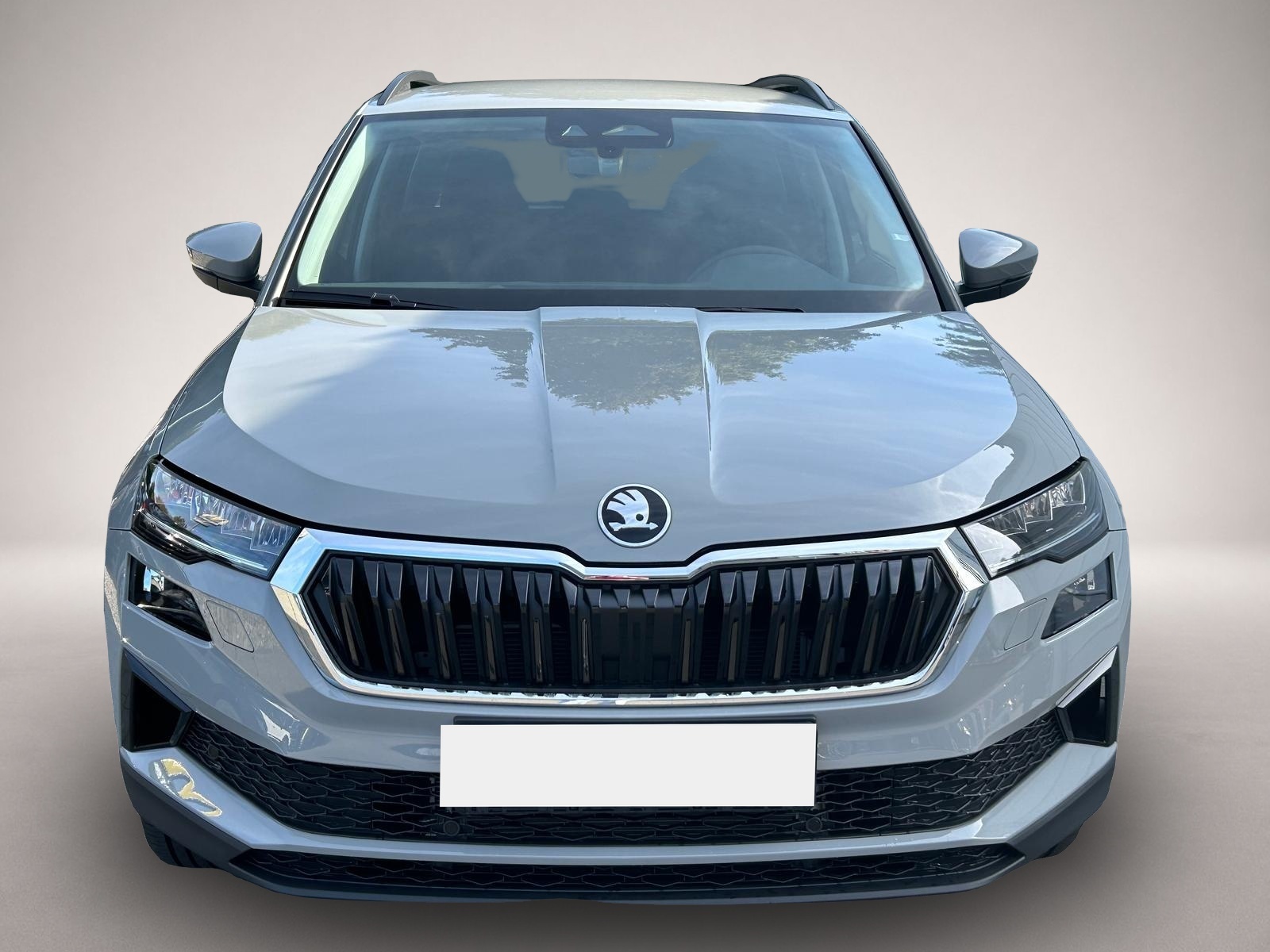 Skoda Karoq, Bild 2 von 5