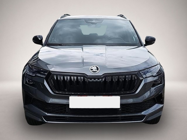 Skoda Karoq (02/2026, Benzin)