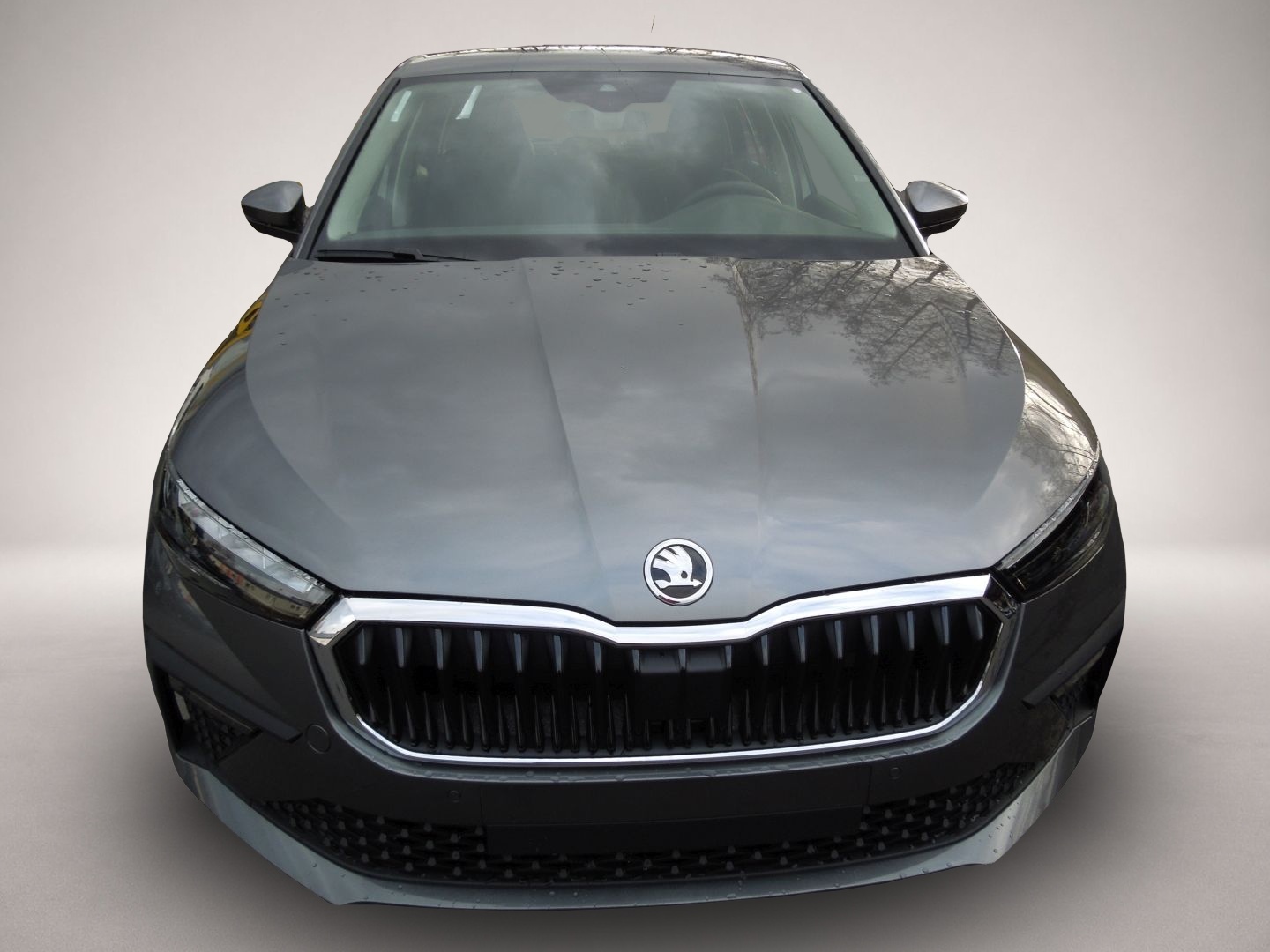 Skoda Scala, Bild 2 von 5