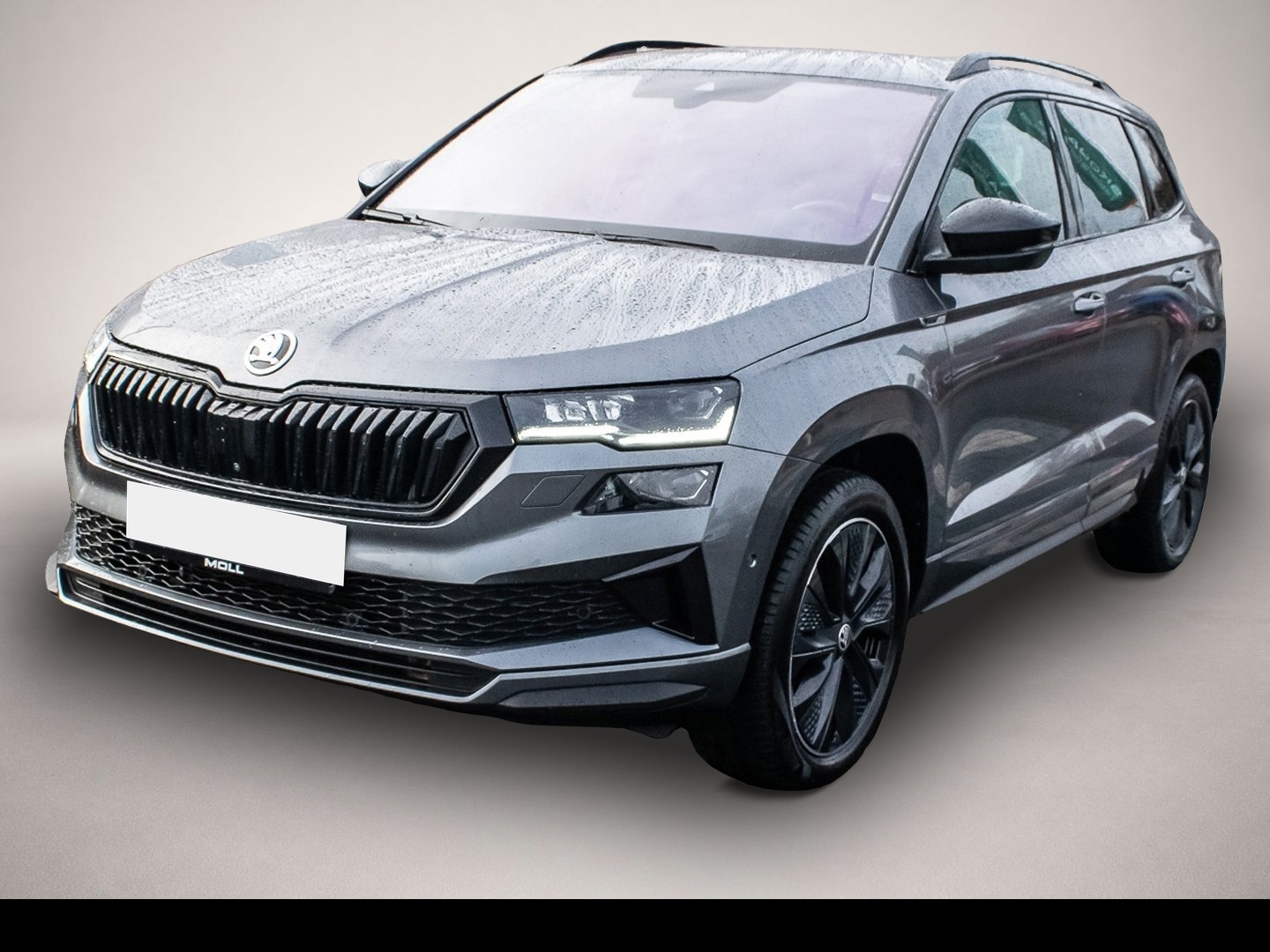 Skoda Karoq (01/2023, )