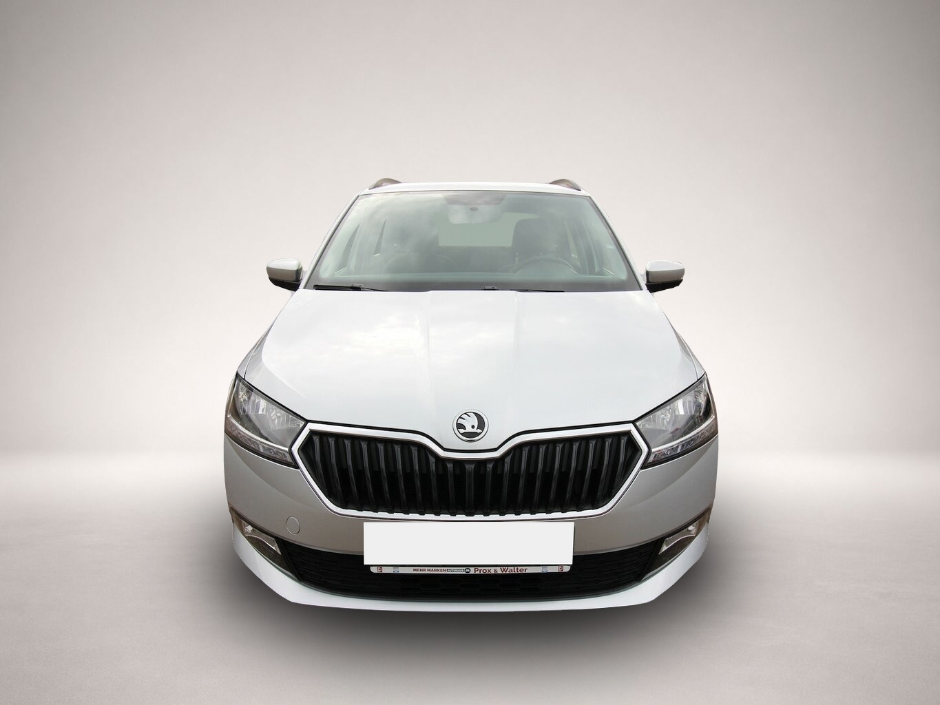 Skoda Fabia (01/2019, Benzin)