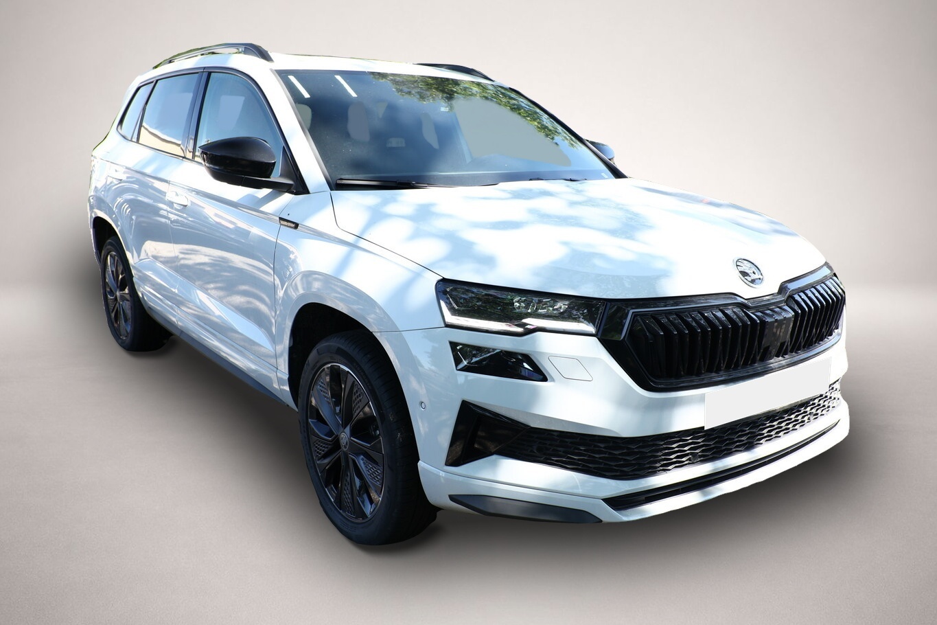 Skoda Karoq (01/2026, Diesel)
