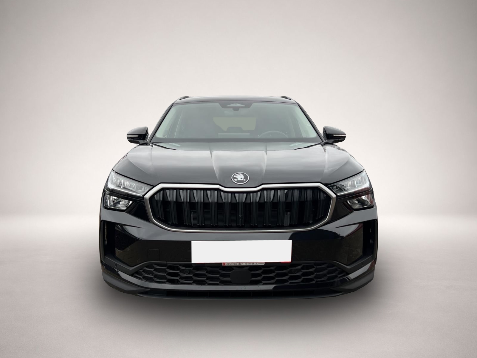 Skoda Kodiaq, Bild 8 von 8