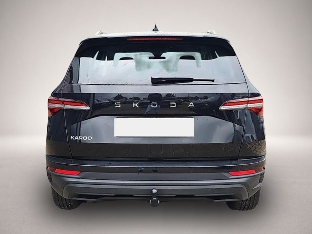 Skoda Karoq (06/2026, Benzin)