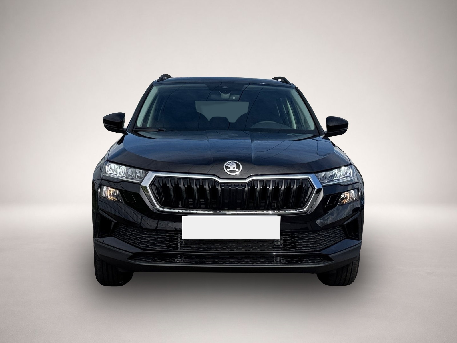 Skoda Karoq (04/2026, Benzin)
