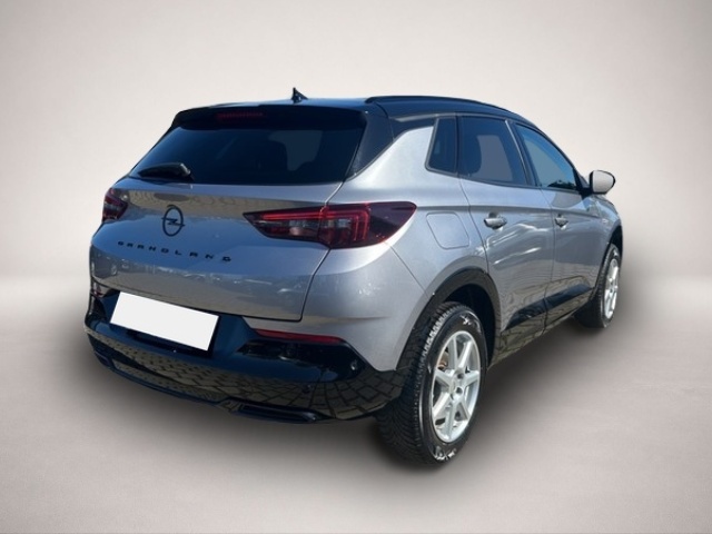 Opel Grandland (X) (03/2023, Benzin)