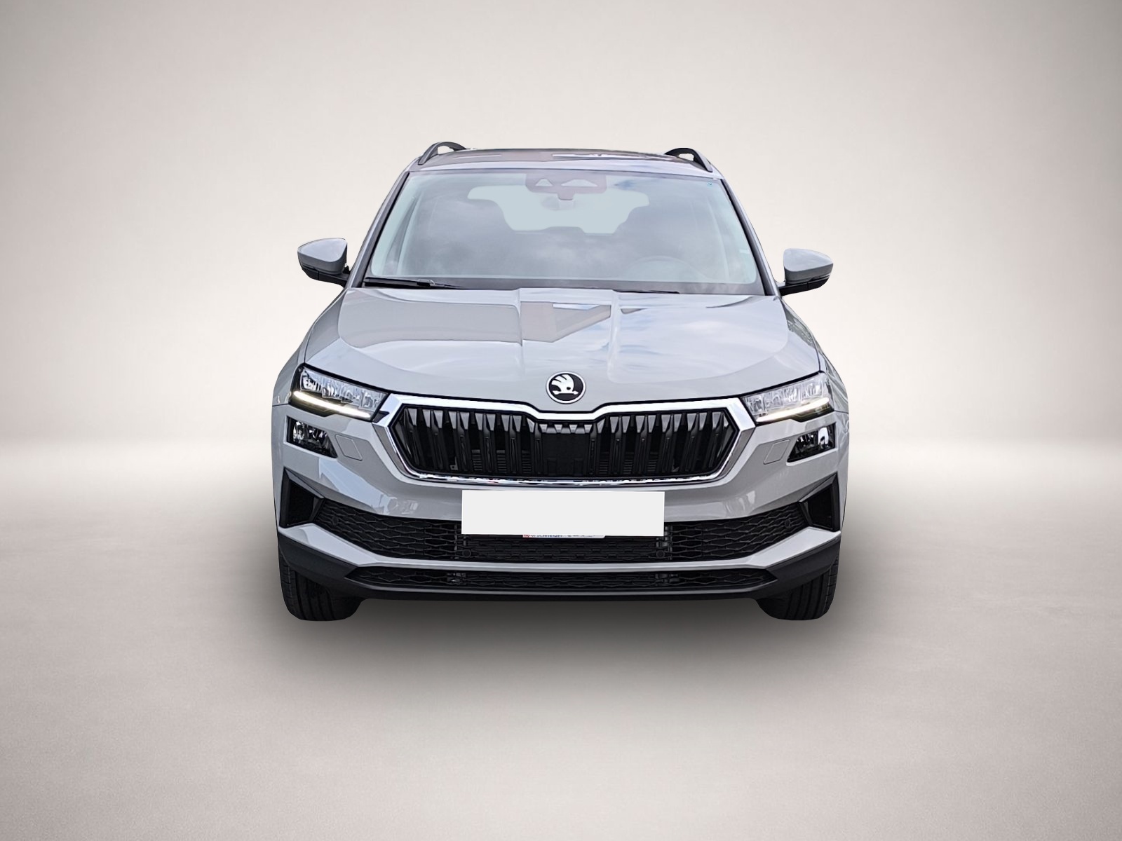 Skoda Karoq, Bild 2 von 8