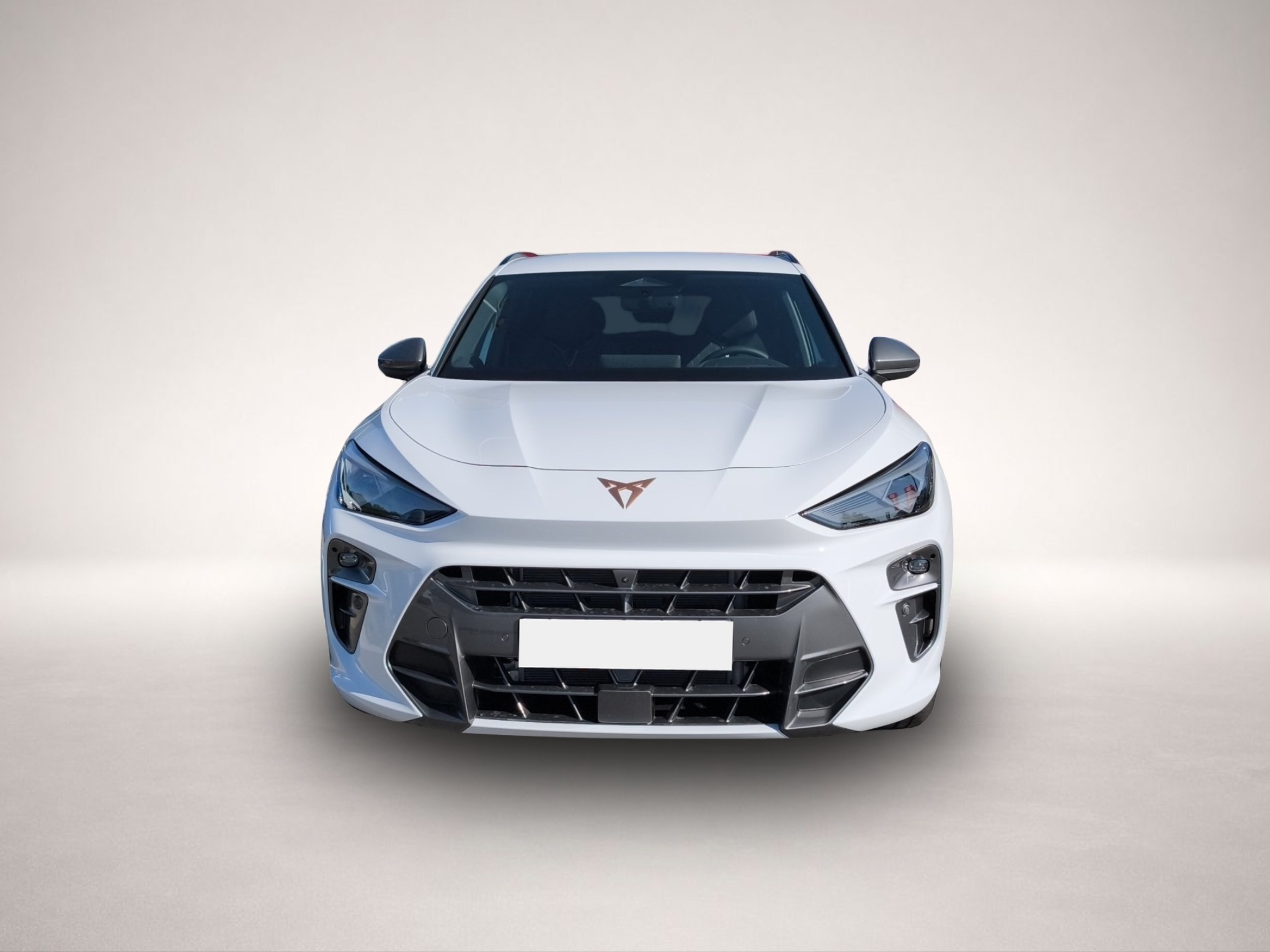 CUPRA Terramar, Bild 2 von 5