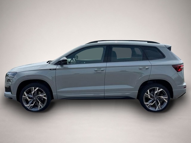 Skoda Karoq (06/2026, Benzin)