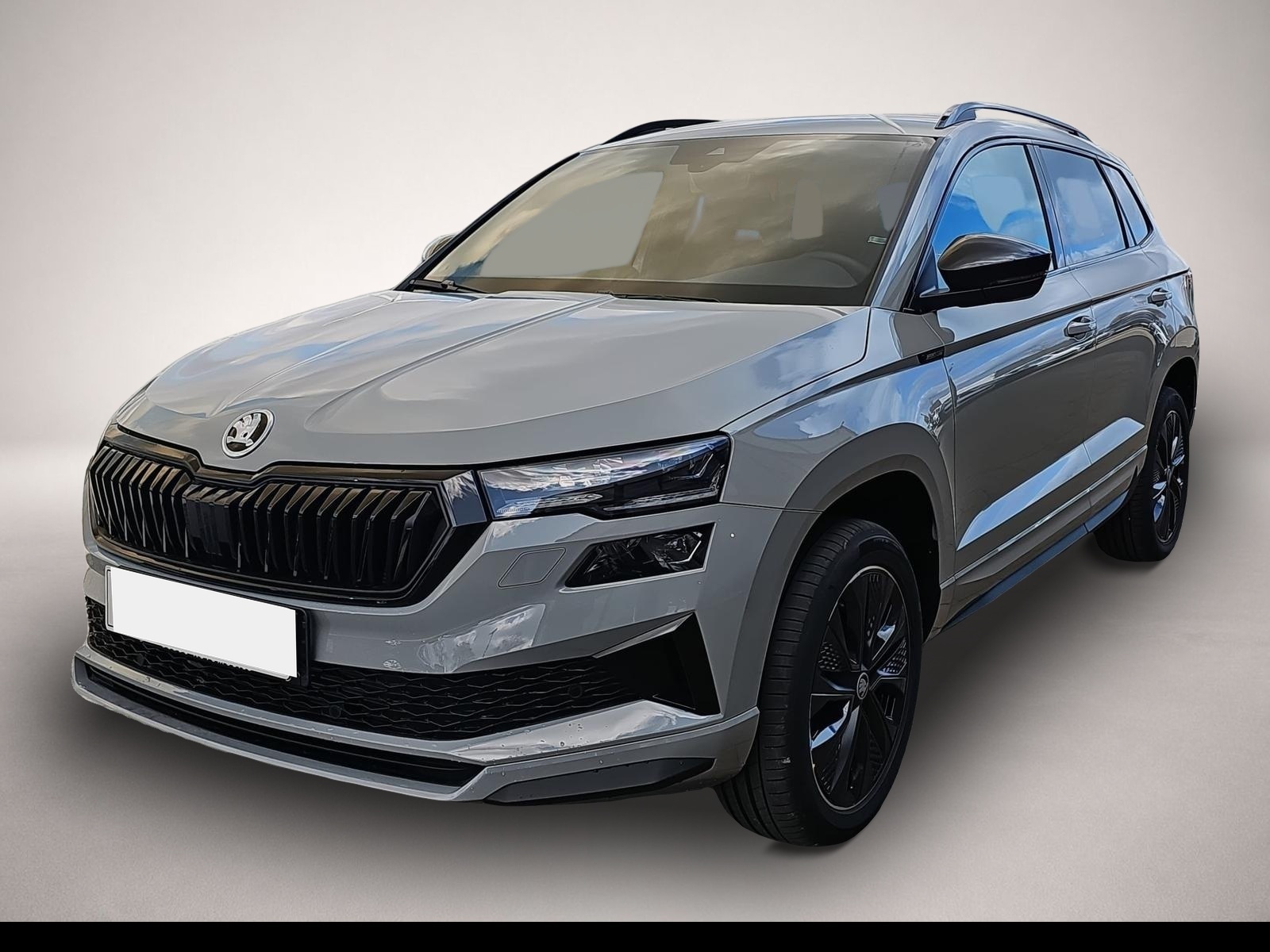 Skoda Karoq (02/2026, Benzin)
